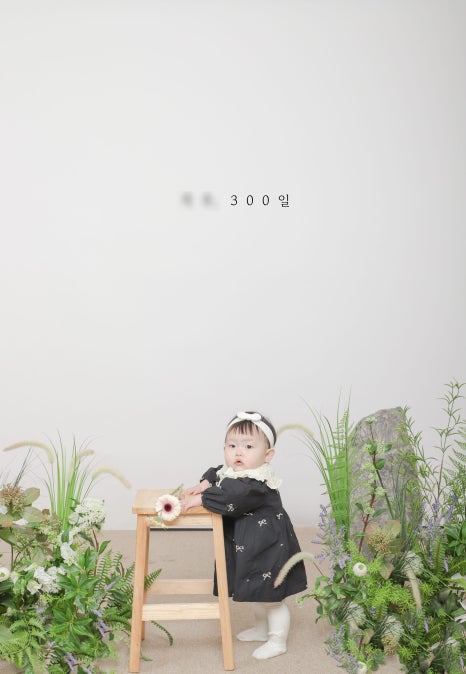 꽃진관 이미지