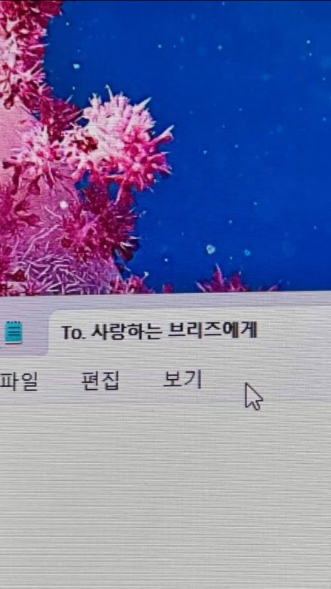 당연이 이미지