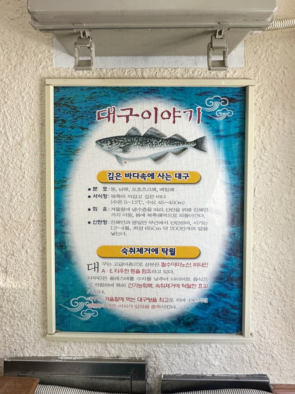 충무대구탕 이미지