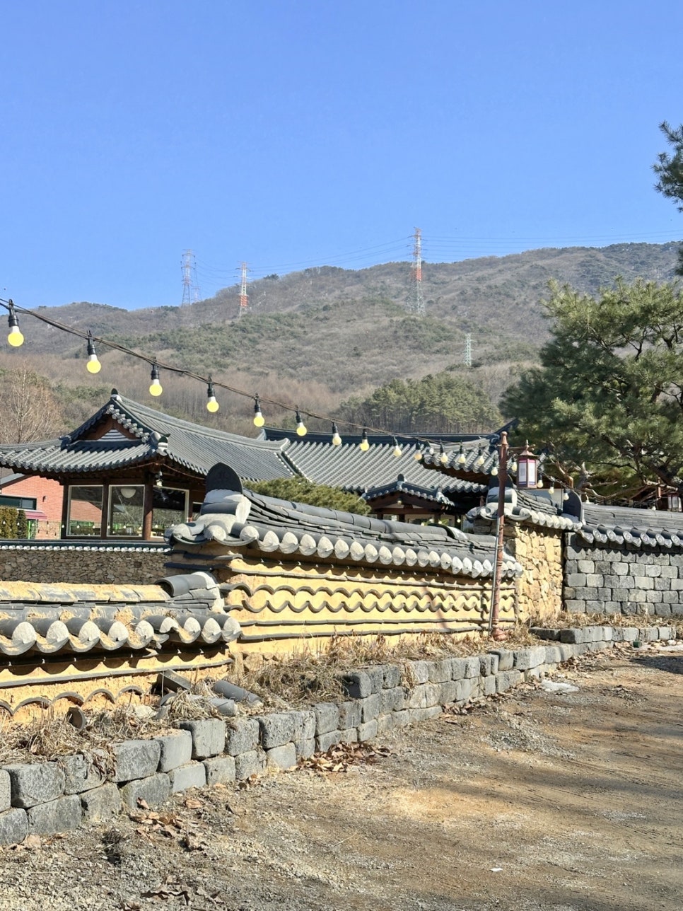 그리네 사바나 이미지