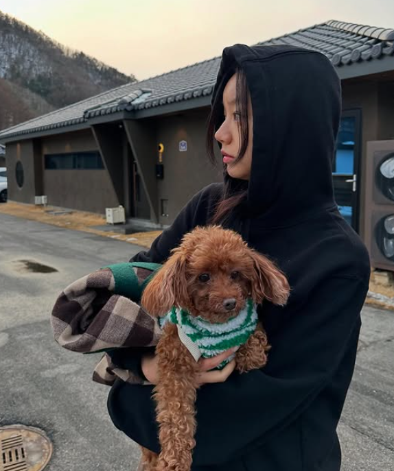 제이혜리 이미지