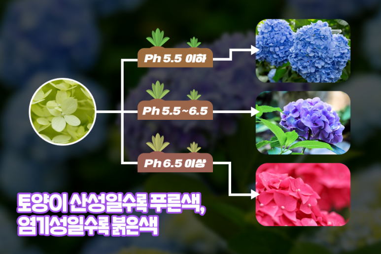 영원화학 이미지