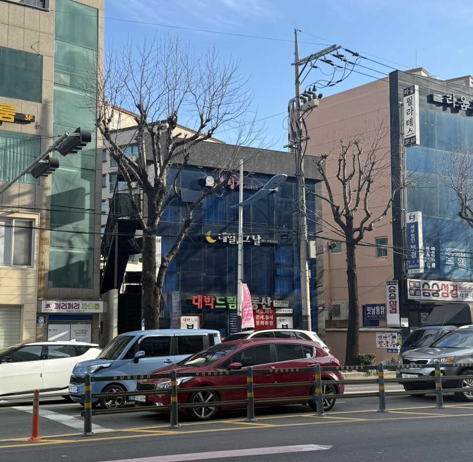 블링진 이미지