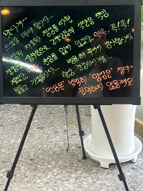 망고짠지 이미지