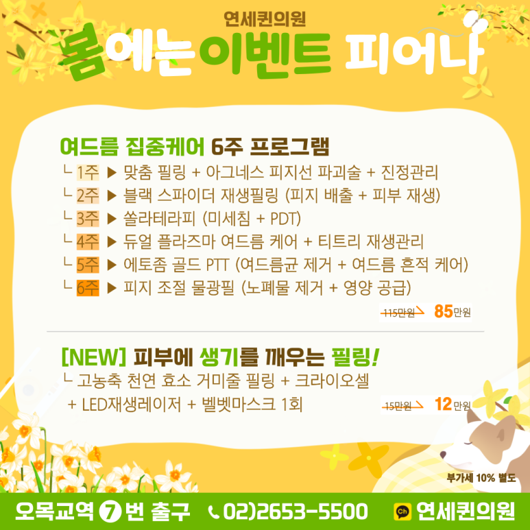 퀸의원 이미지