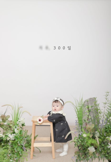 꽃진관 이미지