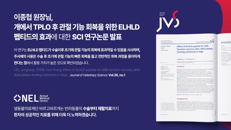 수의골관절학회 이미지