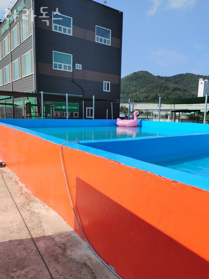 칠곡현대주유소 이미지