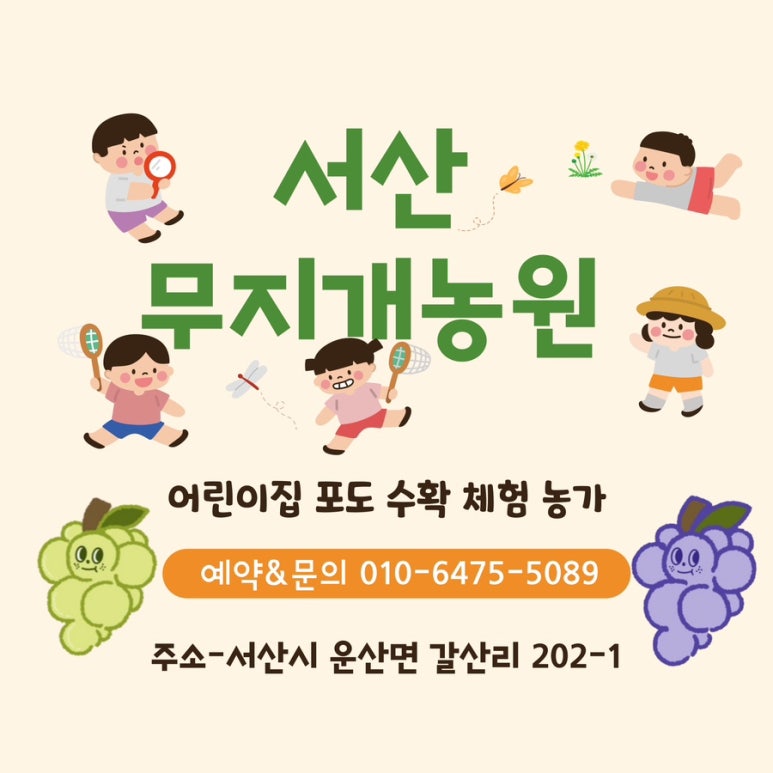 누이네손칼국수 이미지
