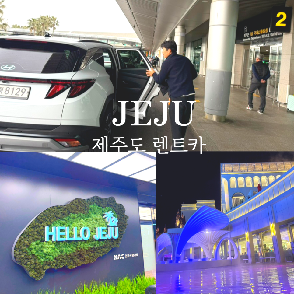 온카세이프 이미지