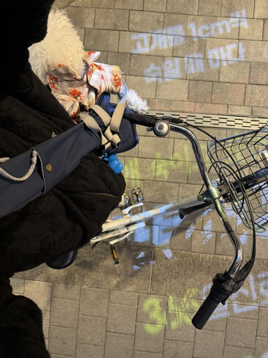 정아미장 이미지