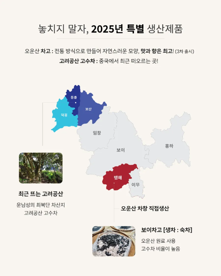 오운산 석가명차 이미지