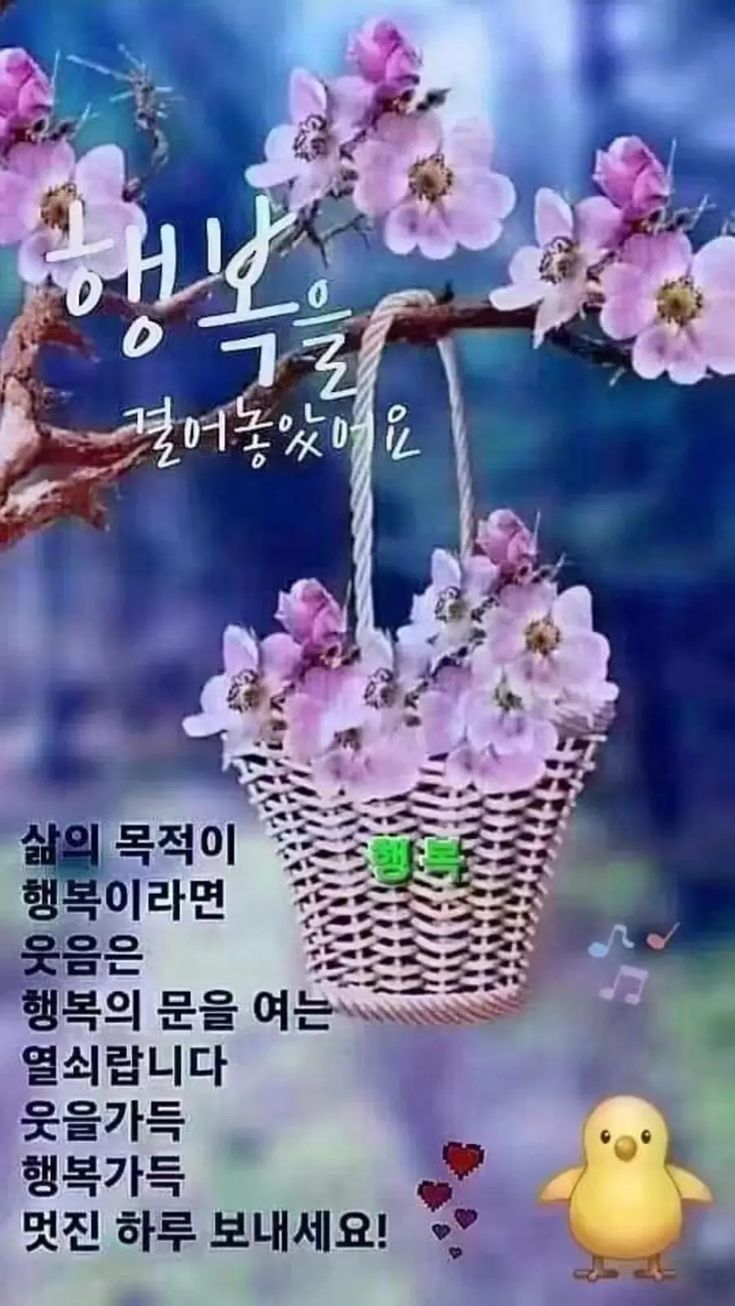 에스앤비컨설팅 이미지