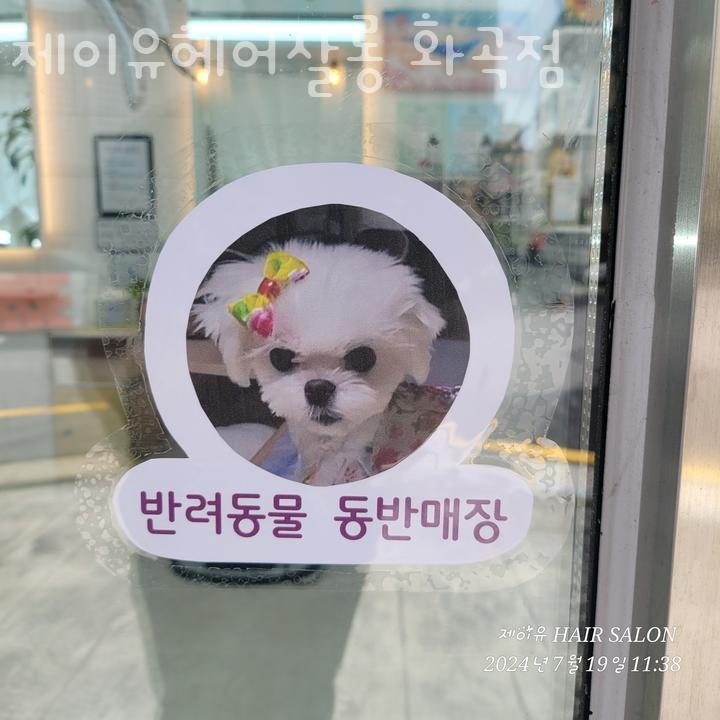 제이유헤어 이미지