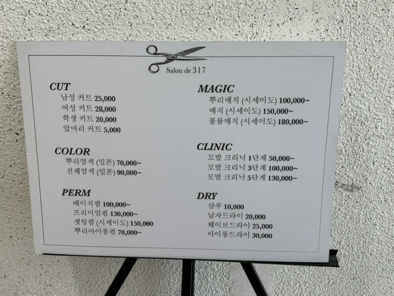 살롱 드 내 : 처음부터 끝까지 이미지