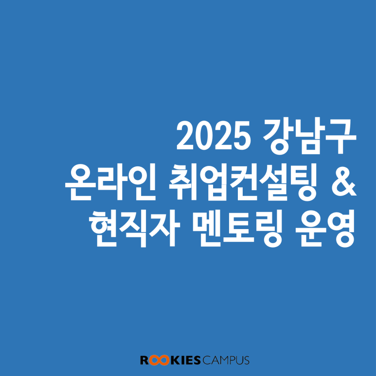 와이즈레인 이미지