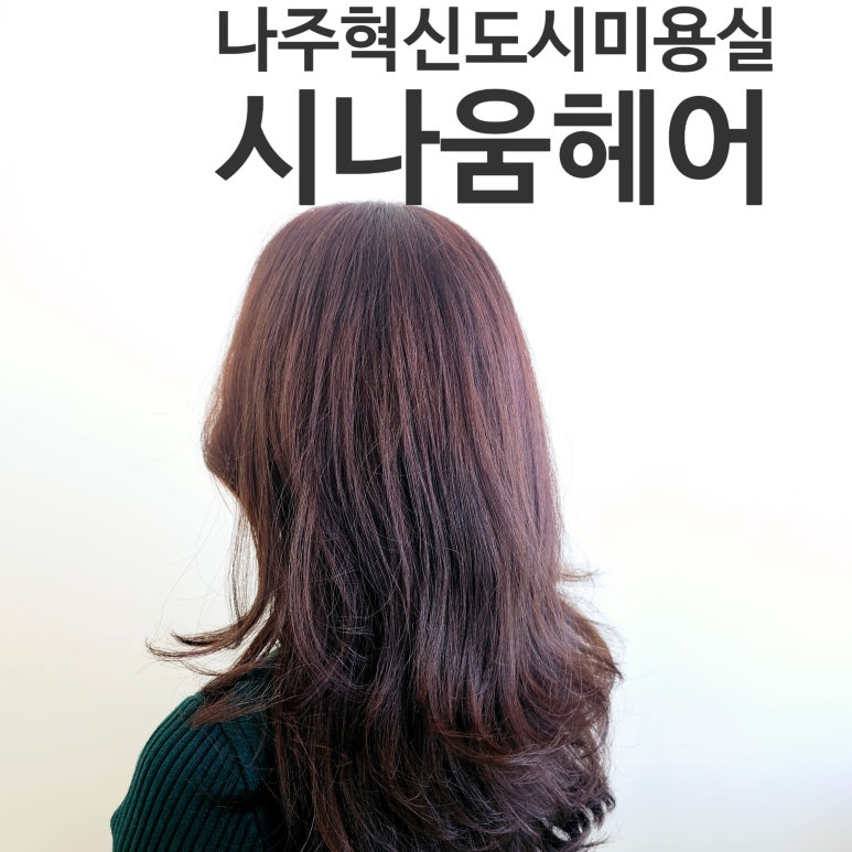 시나움 이미지