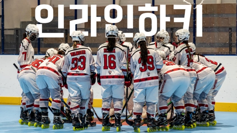 플레임스인라인하키클럽 이미지