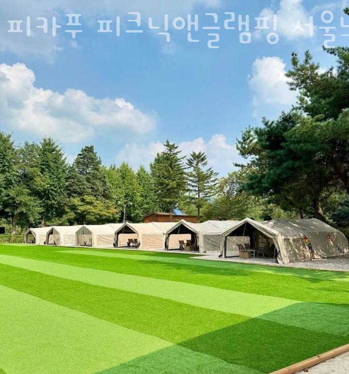 피카푸피크닉앤글램핑서울와이엠씨에이도 이미지
