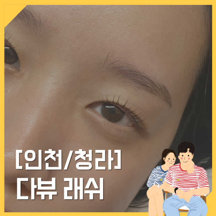 다뷰래쉬 이미지