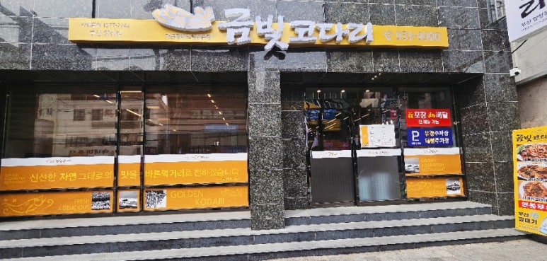 금빛코다리 이미지