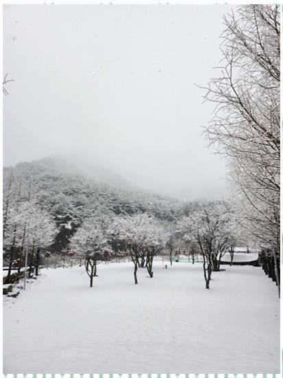 법흥캠핑장 이미지