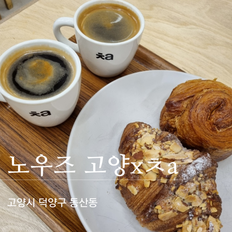 노우즈고양 이미지