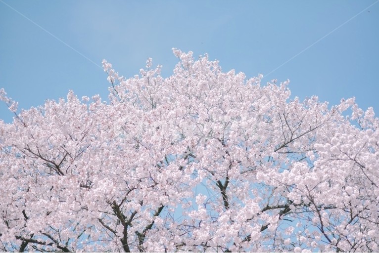 휘트니스센터 이미지