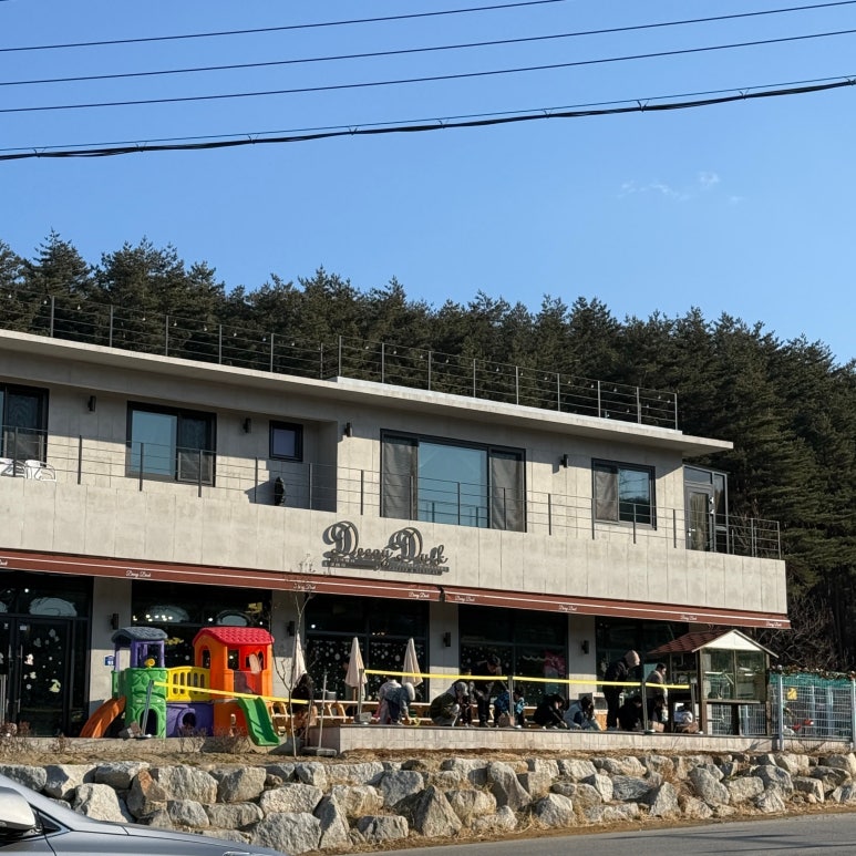 디코이덕 이미지