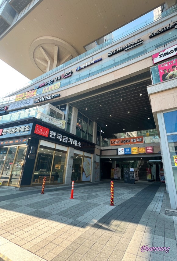 미미래쉬 이미지