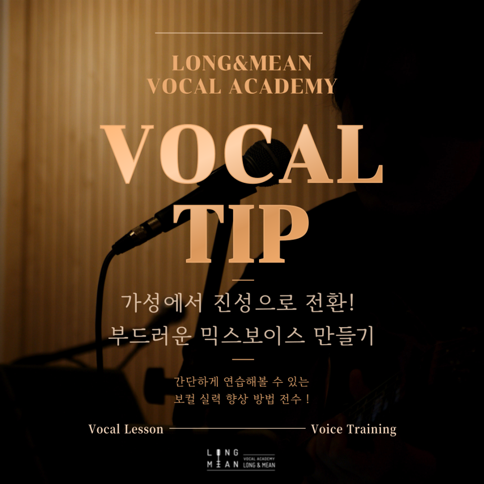 보이스앤보컬 이미지