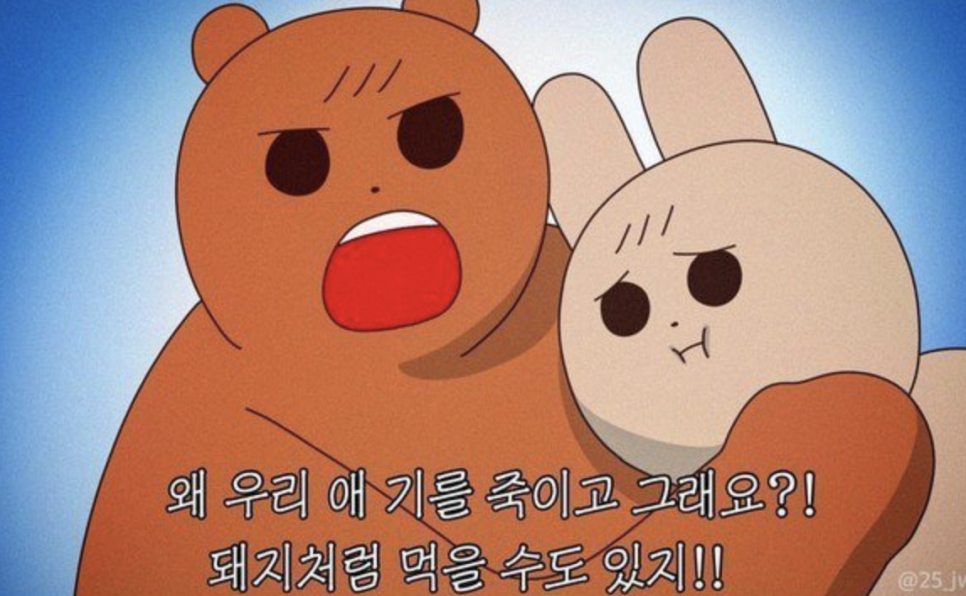콘피에르(Confier) 이미지