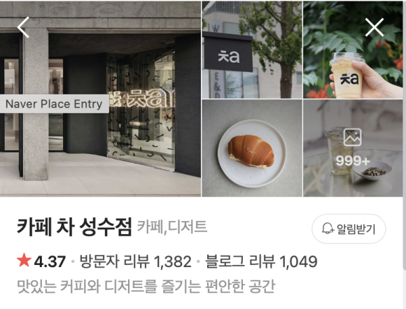 노우즈고양 이미지