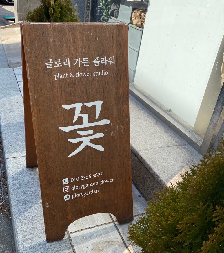 글로리가든플라워 이미지
