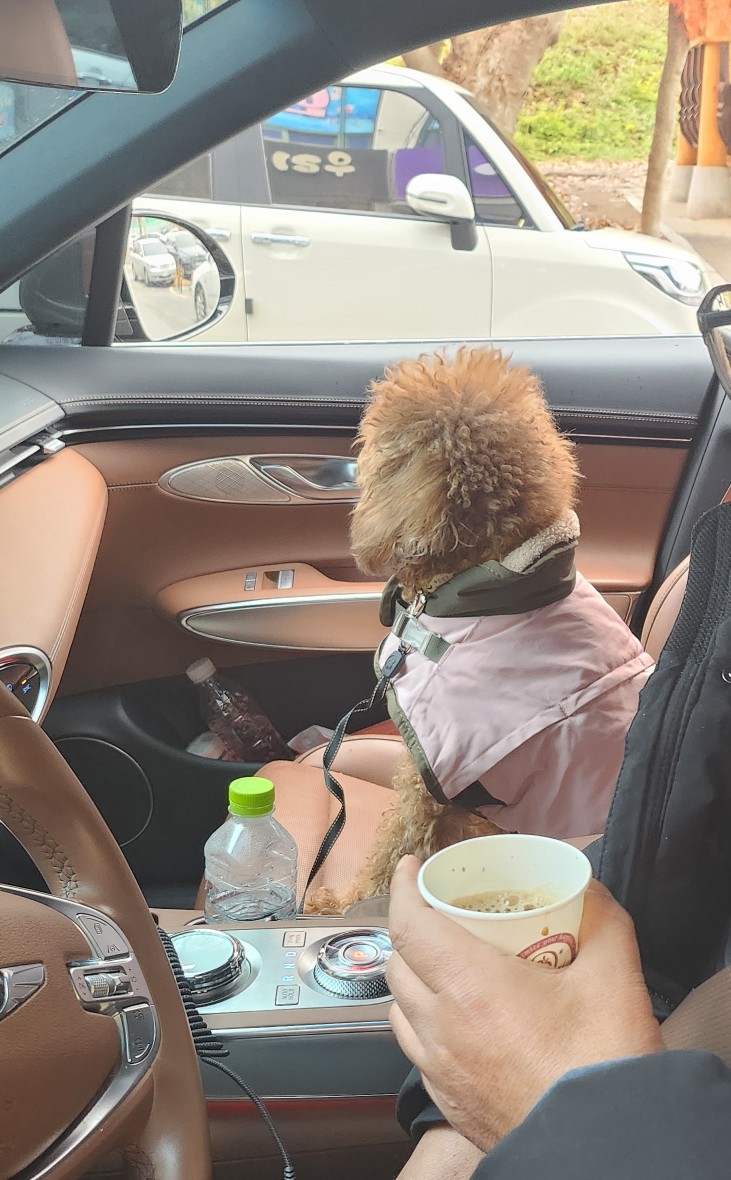 몽쉐리 이미지