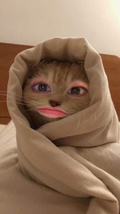 하루와이틀 이미지