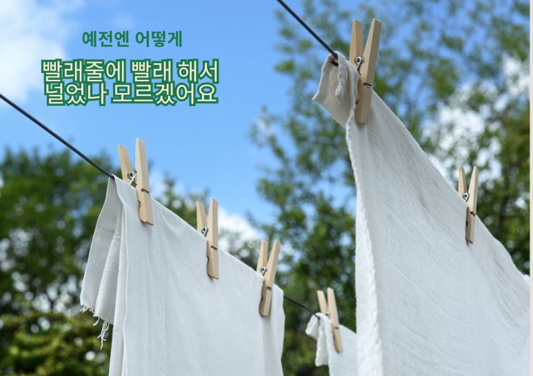 백양크리닝 이미지