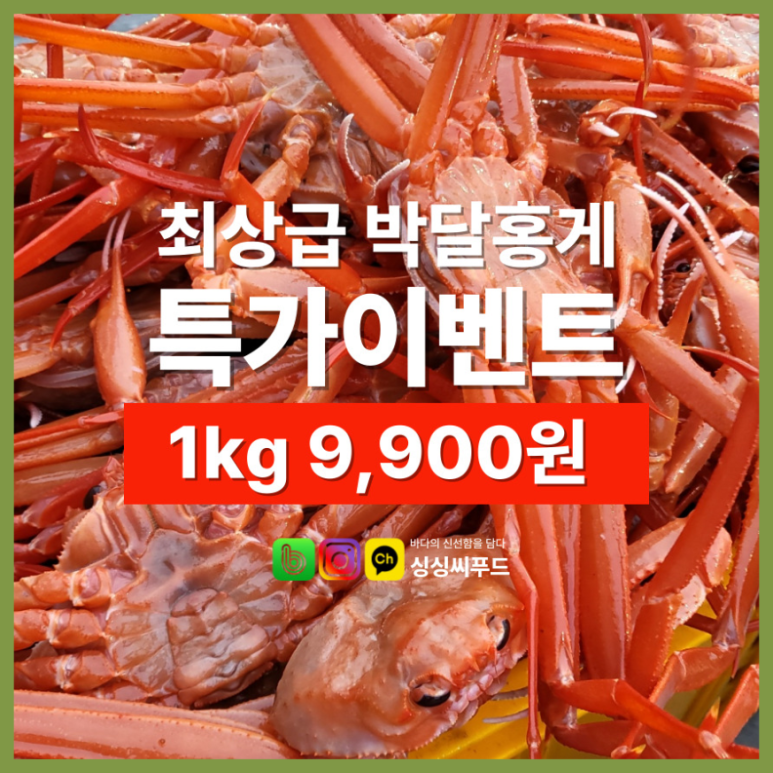 먹거리야식 이미지