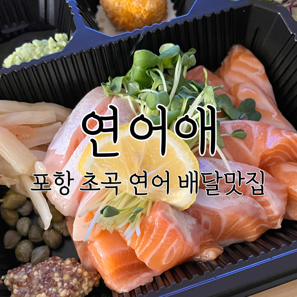 연어애 이미지