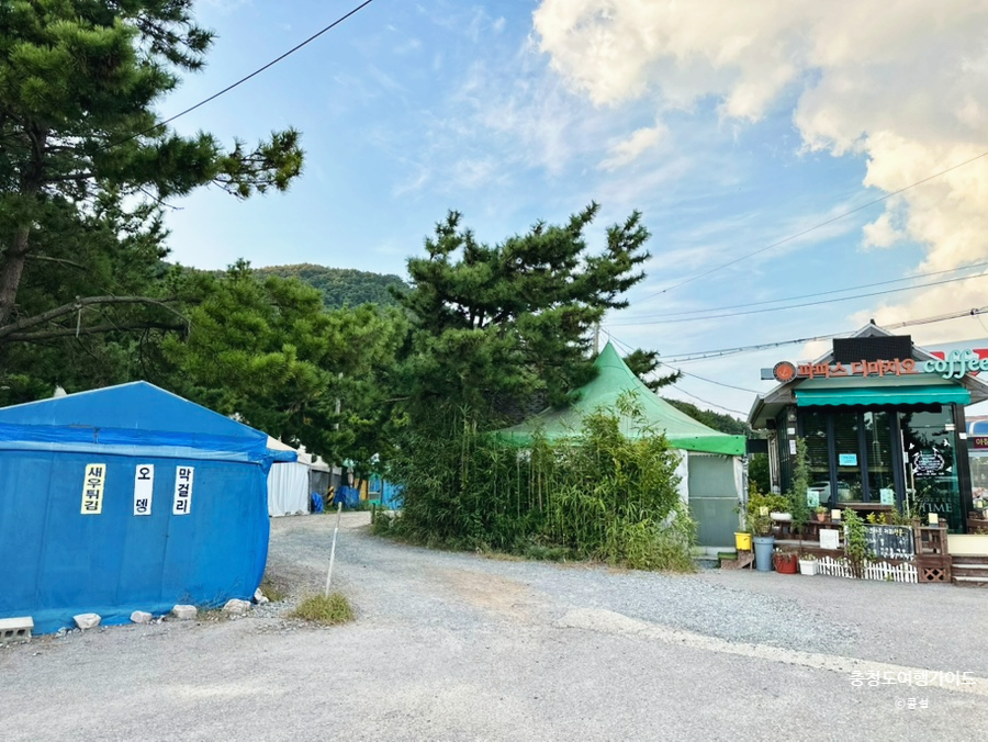 파파스디마지오 이미지