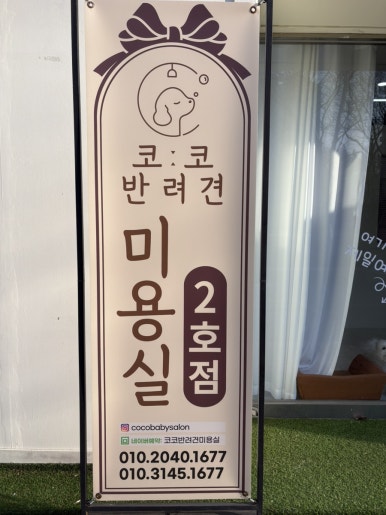 코코 반려견미용실 이미지