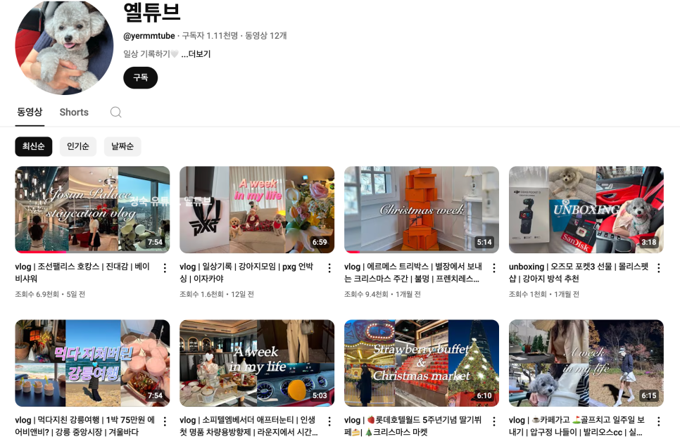 오렌지트리인테리어 이미지