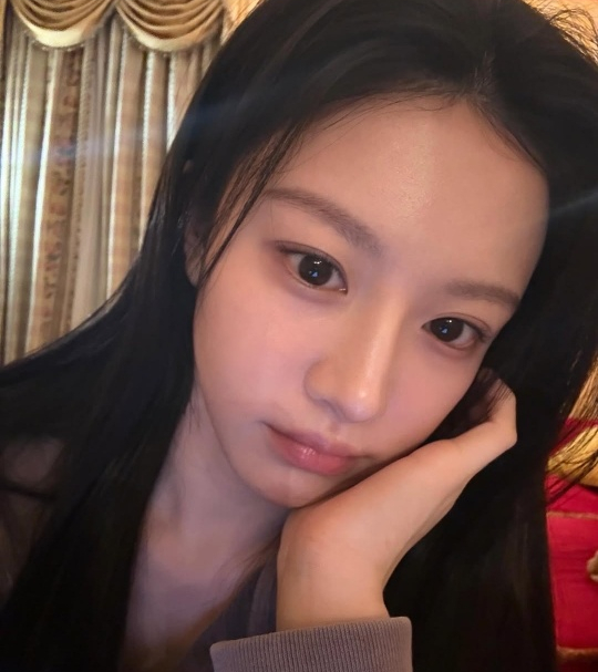 노마 이미지