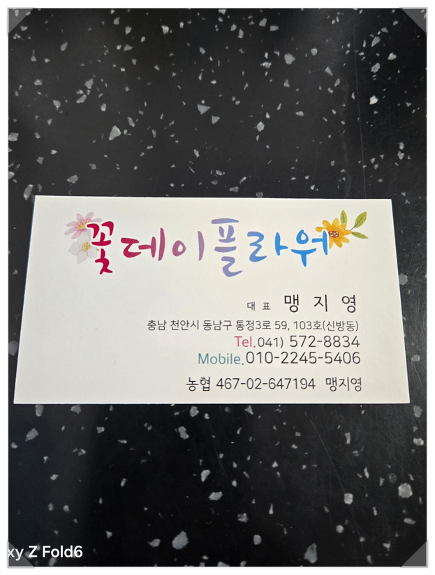 꽃데이플라워 이미지