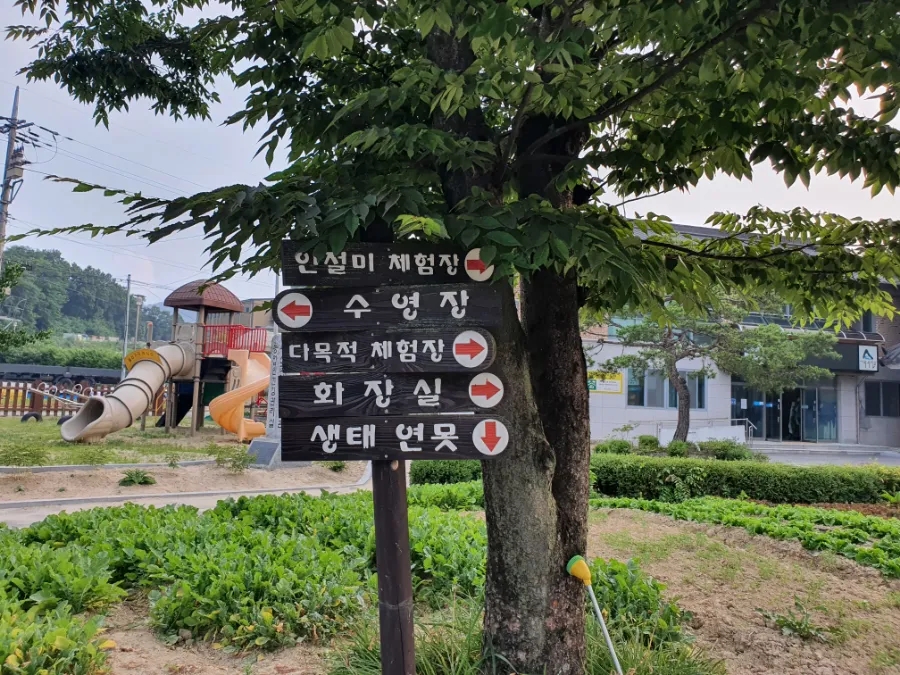노승산우무실마을 이미지