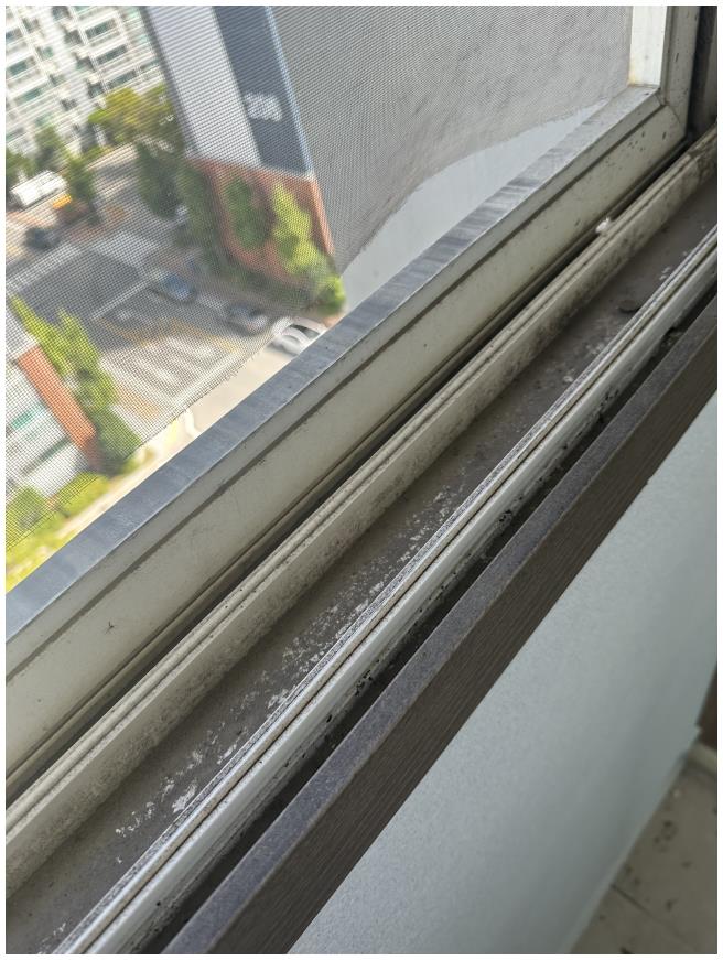 올케어 종합환경 이미지