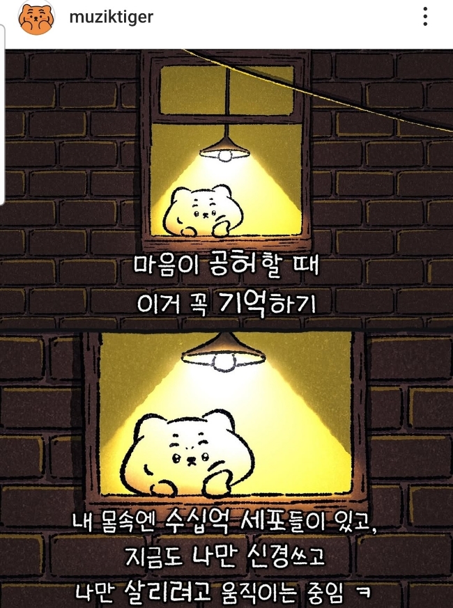 미미의상실 이미지