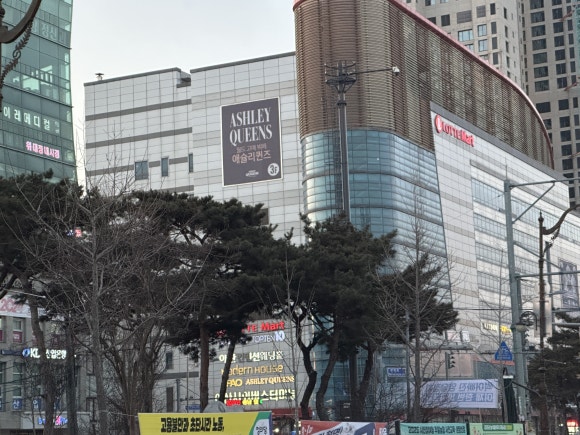(주)고고퀸즈 이미지