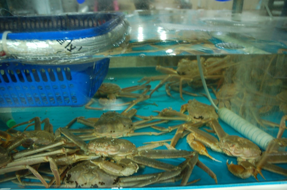 충무회수산 이미지