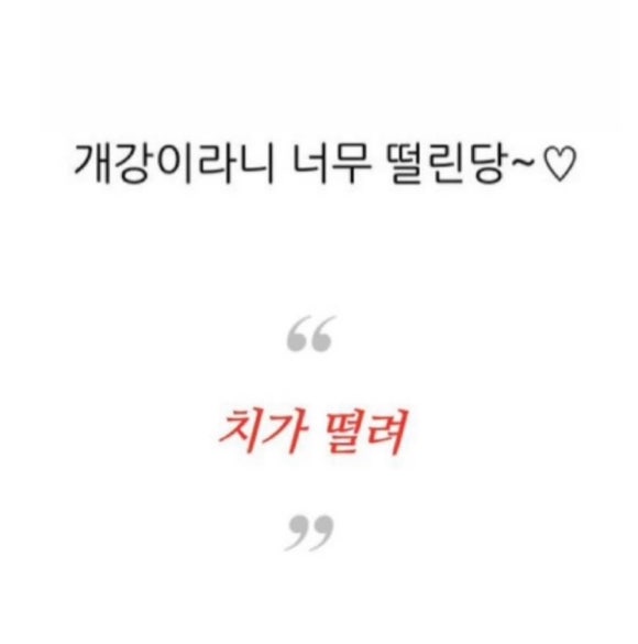 안녕하새우 이미지